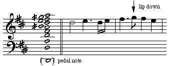 harmonic series on D2