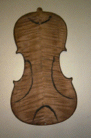 picture of a Chladni pattern of a violin back