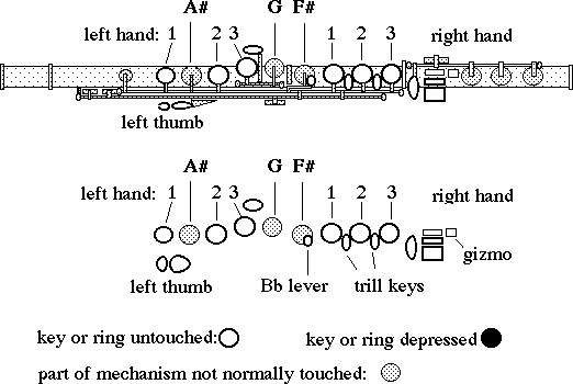 diagram of flute mechanism