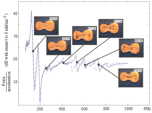 dynamic mass spectrum of violin belly