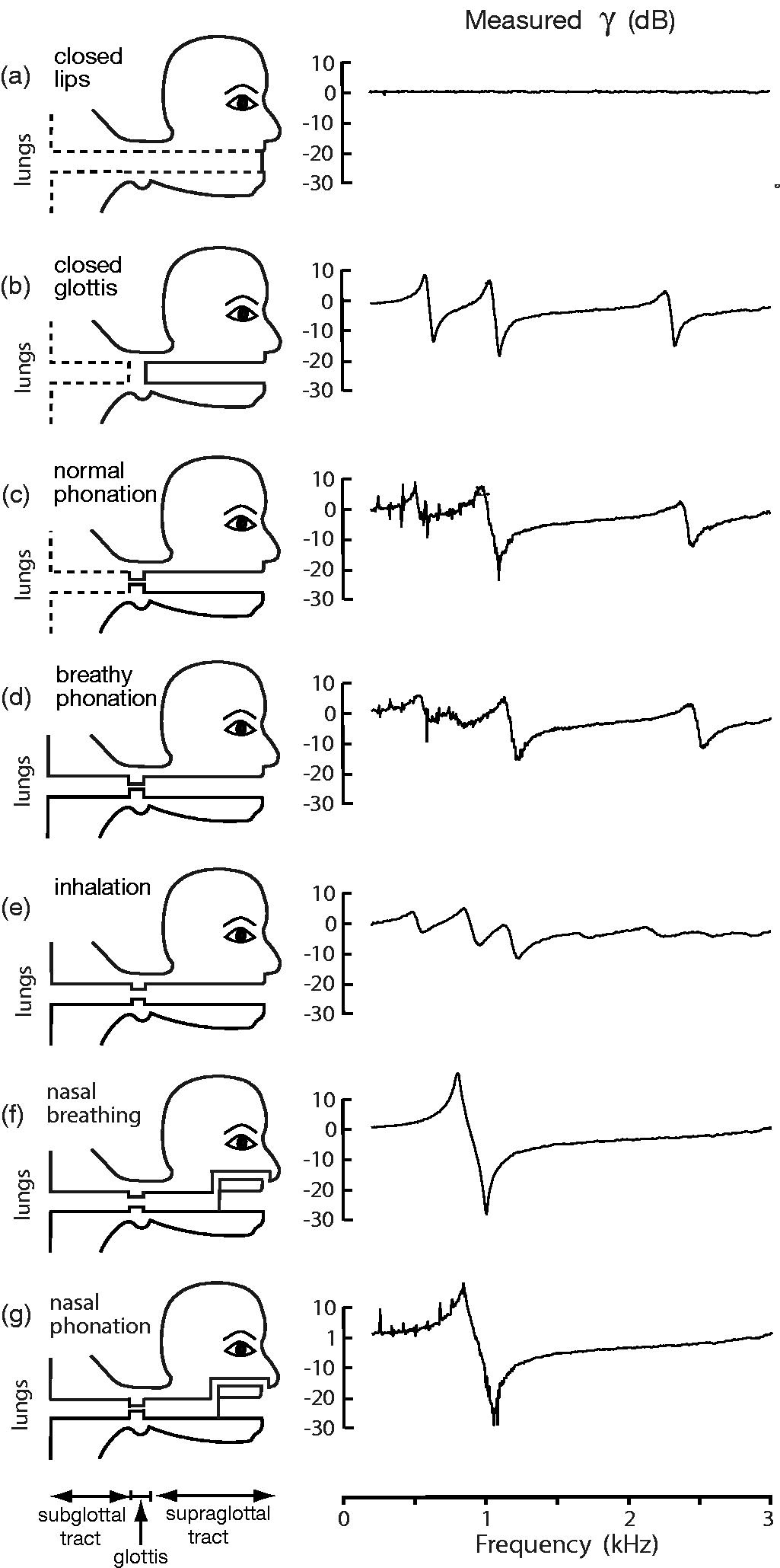 graphs of gamma(f) for seven different gestures