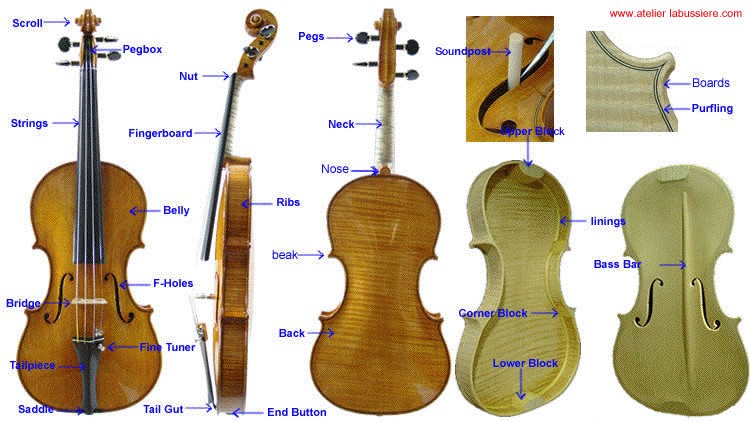 Types of Cello Strings: An Overview