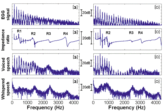 Human Voice Frequency Range Chart