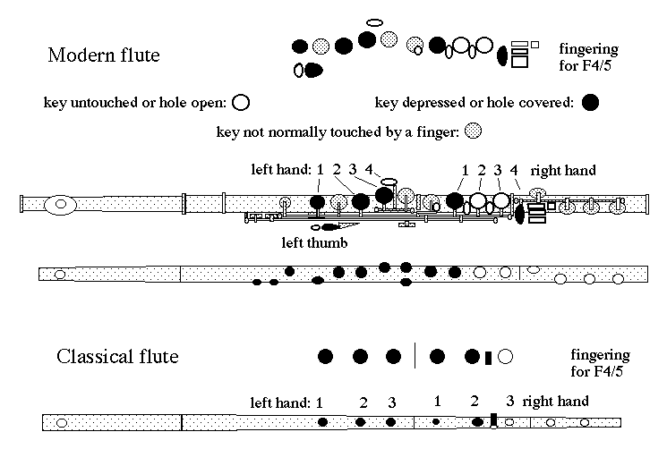 flute diagram
