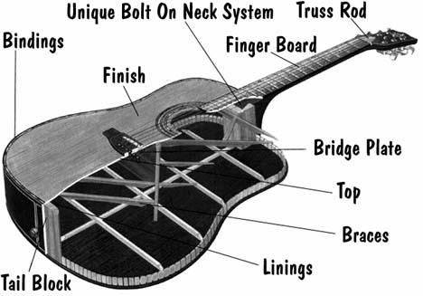 Anatomy Of A Steel String Acoustic Guitar